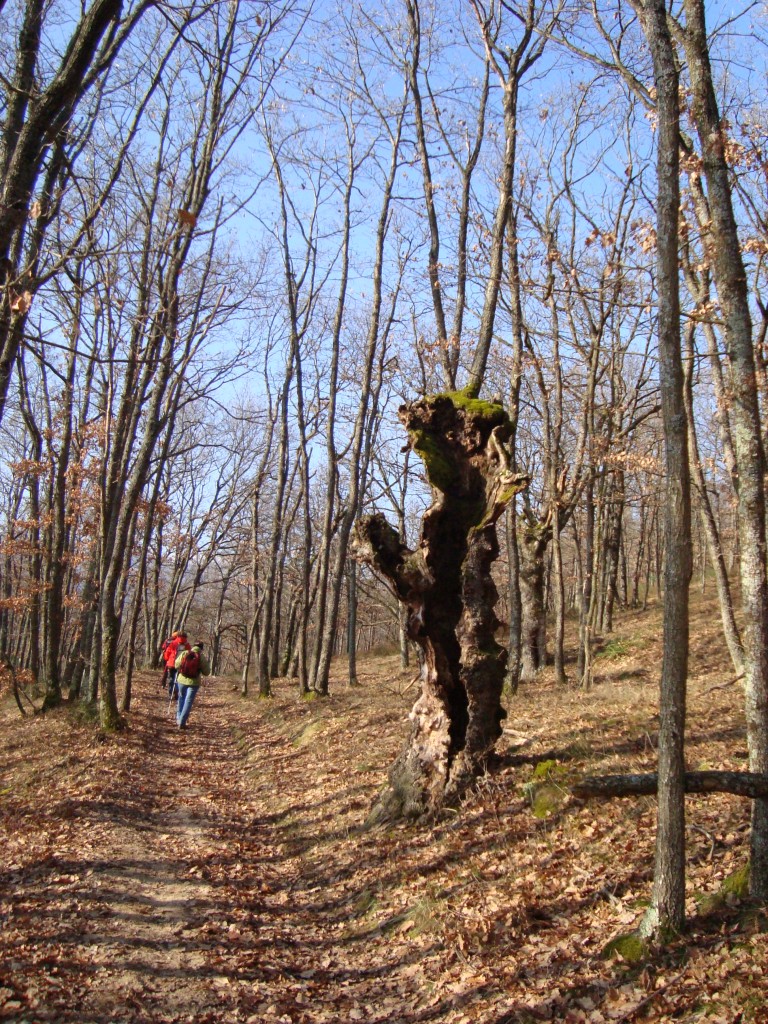 Chateauvieux, 04-01-09, 14-04.jpg
